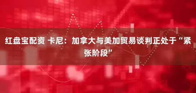 红盘宝配资 卡尼：加拿大与美加贸易谈判正处于“紧张阶段”