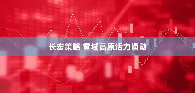 长宏策略 雪域高原活力涌动