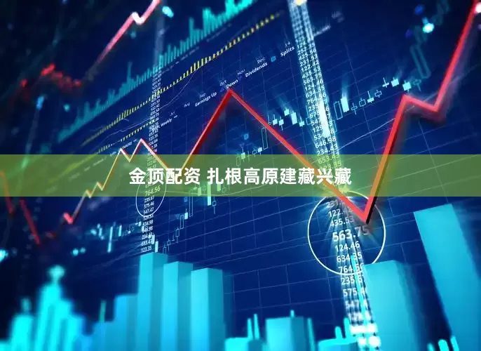 金顶配资 扎根高原建藏兴藏