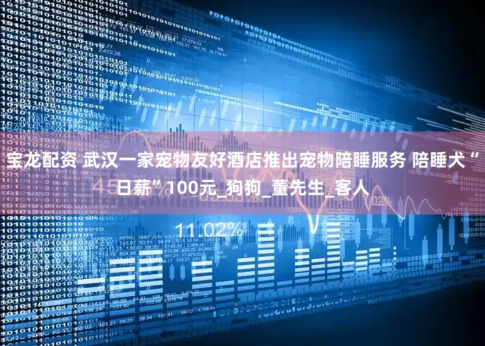 宝龙配资 武汉一家宠物友好酒店推出宠物陪睡服务 陪睡犬“日薪”100元_狗狗_董先生_客人