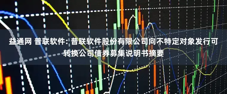 益通网 普联软件: 普联软件股份有限公司向不特定对象发行可转换公司债券募集说明书摘要